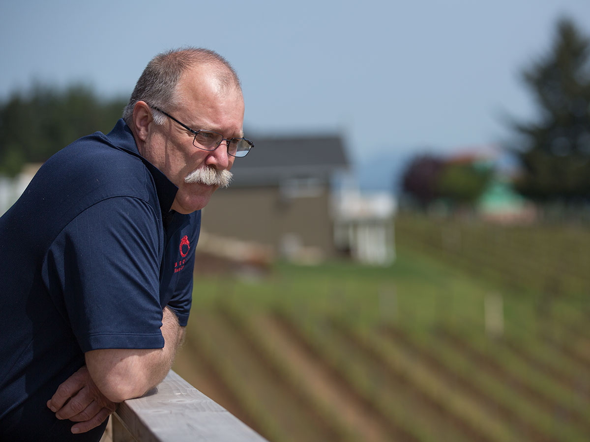 Man overlooking vineyard