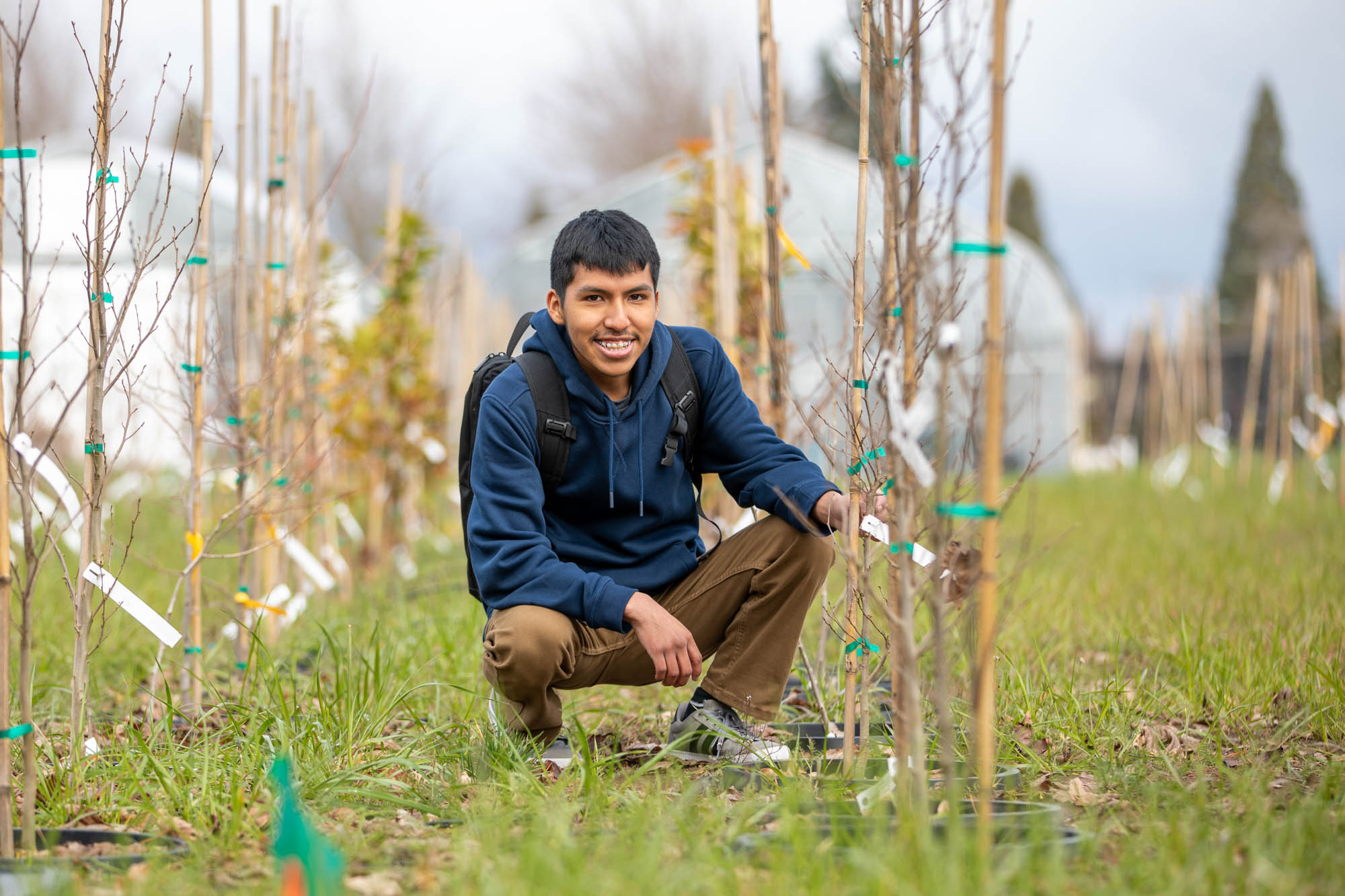 Man inspecting plant